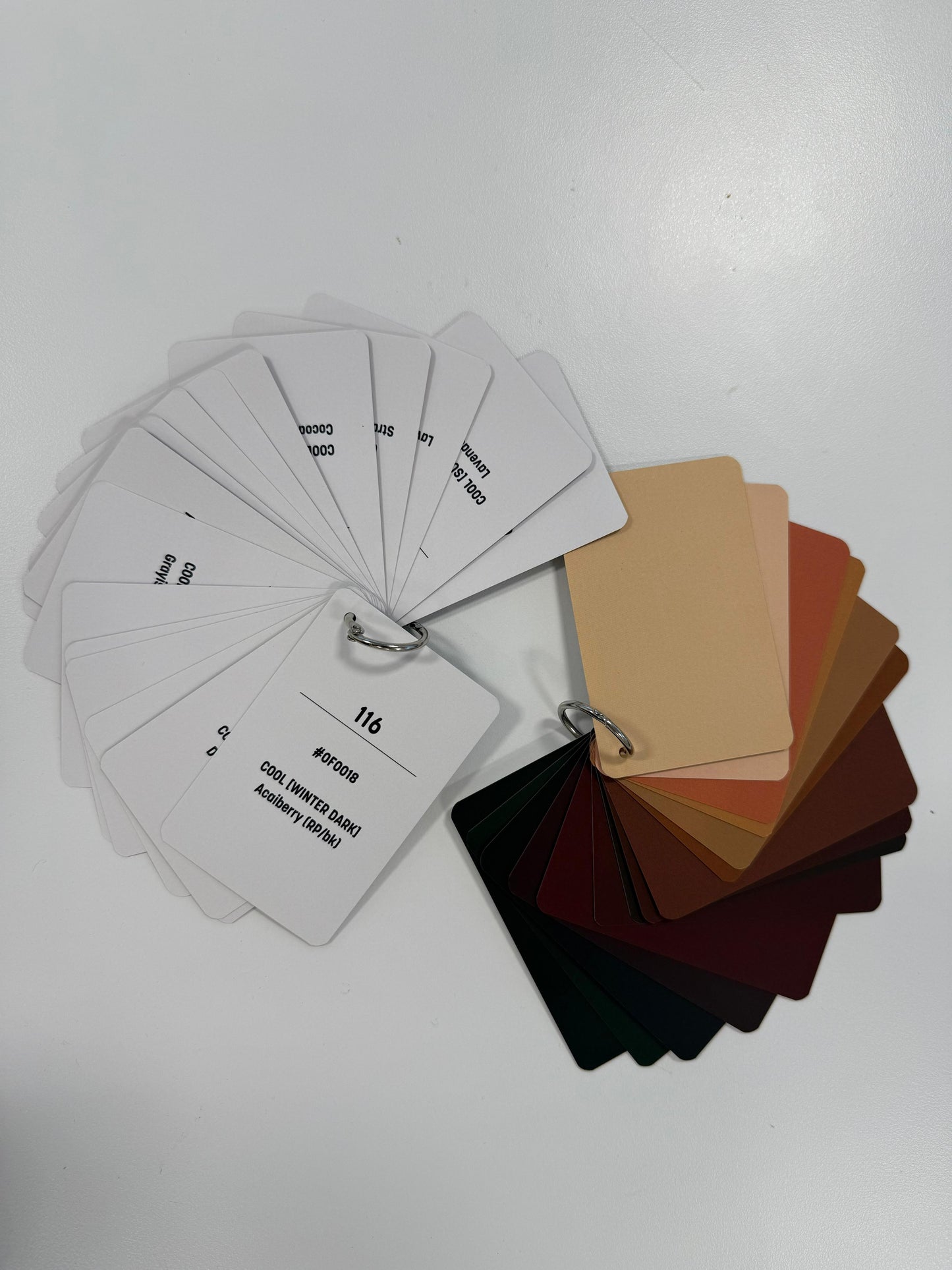 The Signature Palette