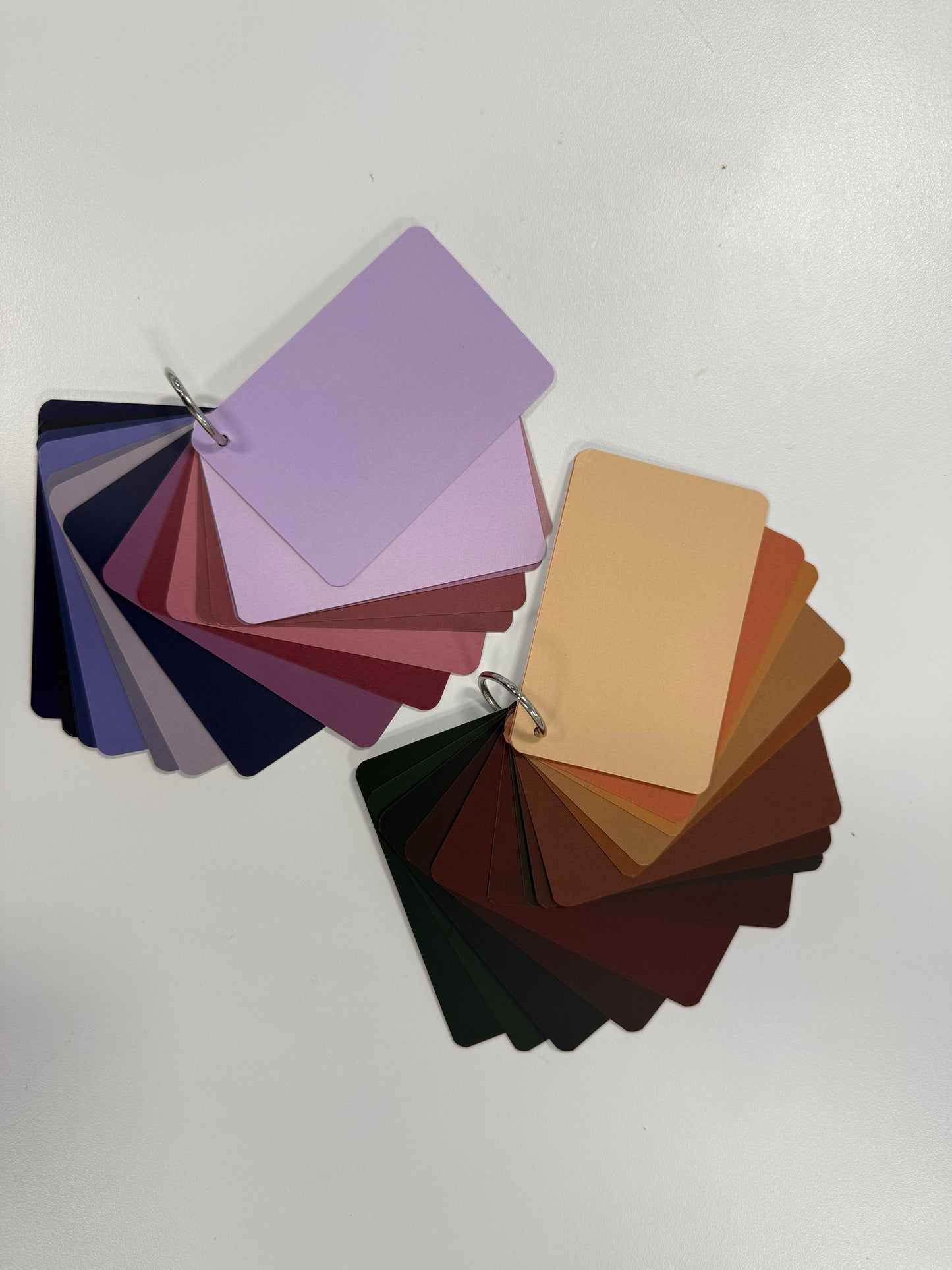 The Signature Palette